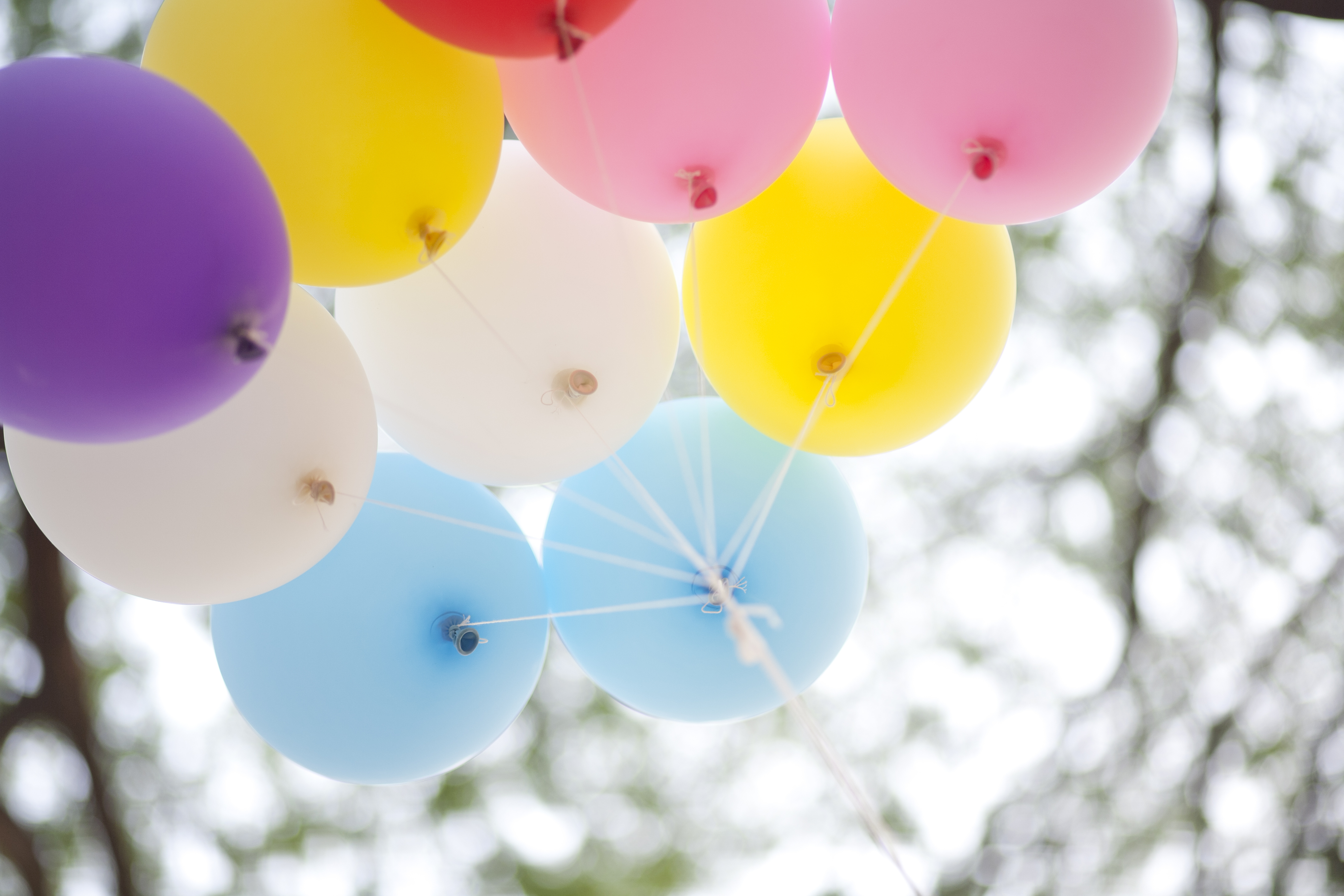 Family YMCA of the Desert - Licensed Childcare and Youth Programs | many colored balloons forming a bright background wallpaper imag